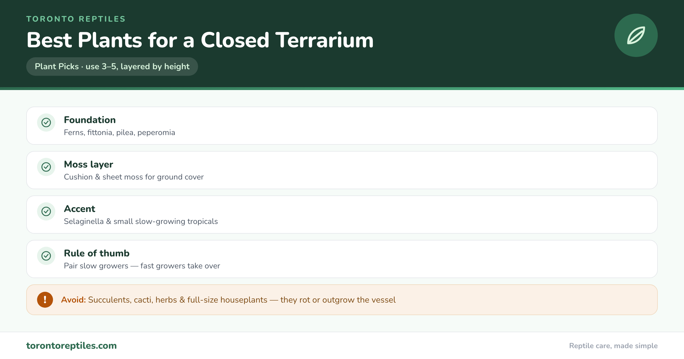 Best Plants for a Closed Terrarium — illustrated checklist. Toronto Reptiles.