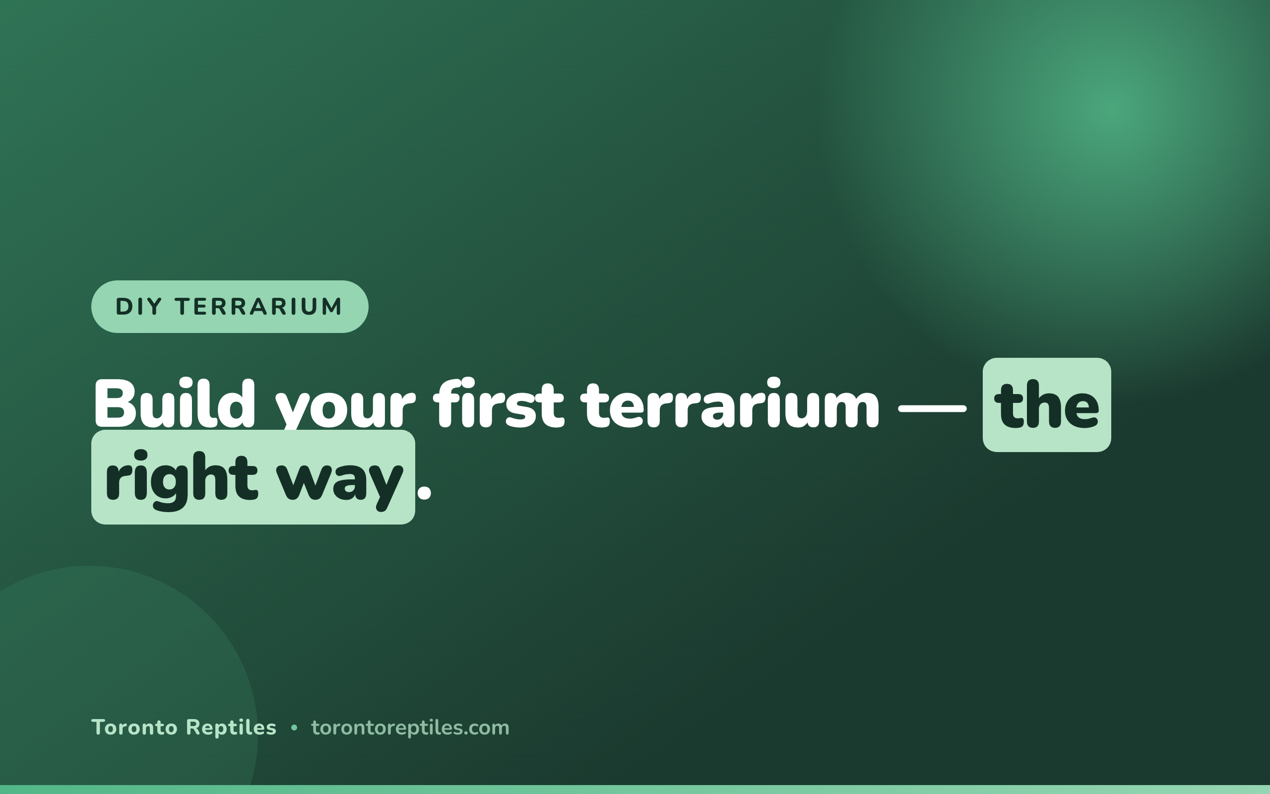 How to Build a DIY Terrarium Kit: Everything You Need to Get Started