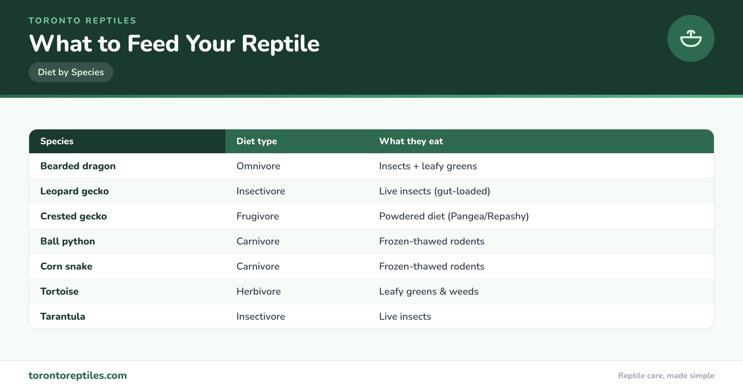 What to Feed Your Reptile — side-by-side comparison. Toronto Reptiles.